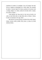 Eseja 'Jāņa Medeņa dzejas analīze', 4.