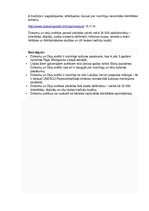 Referāts 'Dziesmu un deju svētki', 2.