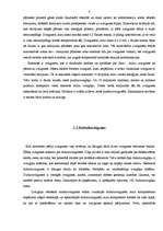 Referāts 'Zvaigžņu novērošanas iespējas Dobelē', 8.