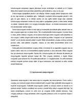 Referāts 'Zvaigžņu novērošanas iespējas Dobelē', 9.