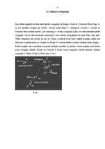 Referāts 'Zvaigžņu novērošanas iespējas Dobelē', 17.