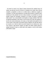 Referāts 'Zvaigžņu novērošanas iespējas Dobelē', 20.