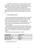 Referāts 'Bārija diborātu sintēze un īpašības', 12.