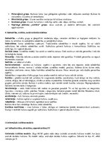 Konspekts 'Kultūras teorija', 5.