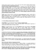 Konspekts 'Kultūras teorija', 10.