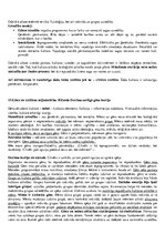 Konspekts 'Kultūras teorija', 12.