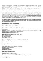 Konspekts 'Kultūras teorija', 13.