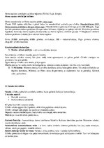 Konspekts 'Kultūras teorija', 14.