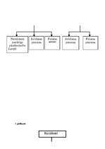 Referāts 'Nodokļu attīstības vēsture', 29.