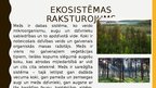 Prezentācija 'Meža ekosistēma', 3.