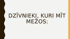 Prezentācija 'Meža ekosistēma', 4.