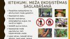 Prezentācija 'Meža ekosistēma', 13.