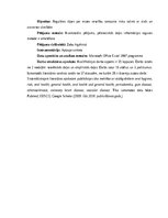 Diplomdarbs 'Mutes veselības nozīme pie sirds un asinsrites slimībām', 4.