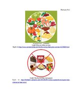 Diplomdarbs 'Mutes veselības nozīme pie sirds un asinsrites slimībām', 41.