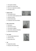 Referāts 'Ultraskaņas terapija', 7.