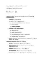 Referāts 'Kondensators', 4.