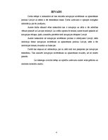 Referāts 'Korupcijas novēršanas un apkarošanas politika un tās īstenošanas rezultāti', 4.