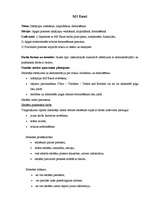 Konspekts 'Izklājlapu veidošana, aizpildīšana, formatēšana. Stundas konspekts', 1.