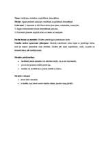 Konspekts 'Izklājlapu veidošana, aizpildīšana, formatēšana. Stundas konspekts', 3.