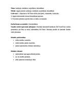 Konspekts 'Izklājlapu veidošana, aizpildīšana, formatēšana. Stundas konspekts', 6.