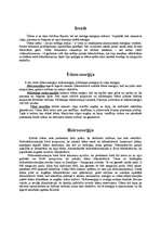 Referāts 'Hidroelektrostacijas', 1.