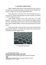 Referāts 'GRAFĒNS. STRUKTŪRA, IEGŪŠANAS METODES, ĪPAŠĪBAS, PIELIETOŠANA', 4.