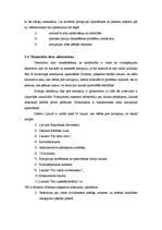 Referāts 'Korupcijas novēršana', 5.