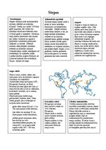 Konspekts 'Stepes', 1.