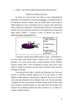 Referāts 'Referenduma par Latvijas iestāšanos ES atspoguļojums interneta portālā www.polit', 6.