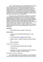 Referāts 'Svešvārdu nozīme laikrakstā "Diena", ziņu portālā "Delfi" un latviešu valodā', 2.