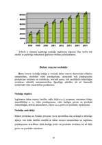 Referāts 'Latvijas Republikas nodokļi', 19.