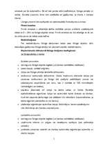 Konspekts 'Līzingi', 5.