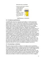 Referāts 'Armatūras korozijas dzelzsbetona konstrukcijās', 11.
