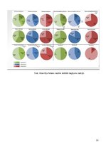 Referāts 'Armatūras korozijas dzelzsbetona konstrukcijās', 16.