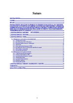 Referāts 'Kontracepcija', 2.