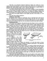 Referāts 'Koka dēļu grīdas', 6.