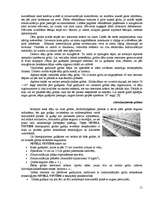 Referāts 'Koka dēļu grīdas', 9.