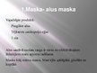 Prezentācija 'Dabīgās matu maskas', 5.