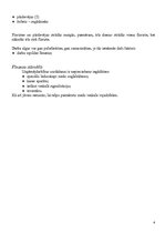 Biznesa plāns 'Biznesa plāns SIA "Maigonis"', 6.