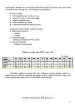 Biznesa plāns 'Biznesa plāns SIA "Maigonis"', 12.