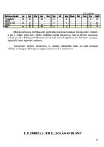 Biznesa plāns 'Biznesa plāns SIA "Maigonis"', 13.