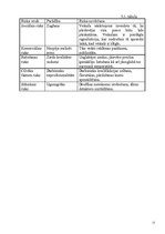 Biznesa plāns 'Biznesa plāns SIA "Maigonis"', 15.