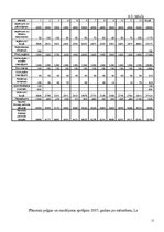 Biznesa plāns 'Biznesa plāns SIA "Maigonis"', 17.