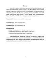 Referāts 'Vārāmais sāls', 5.