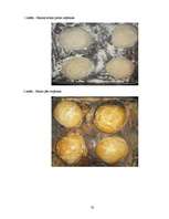 Referāts 'Vārāmais sāls', 32.