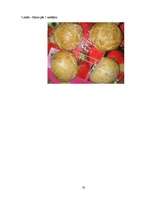 Referāts 'Vārāmais sāls', 33.