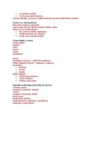 Konspekts 'Saistību tiesību teorija', 4.