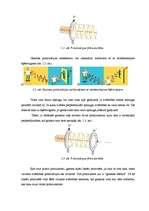 Referāts 'Magnētoptiskais Kerra efekts', 7.