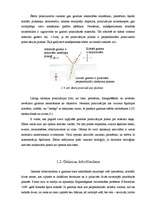 Referāts 'Magnētoptiskais Kerra efekts', 8.