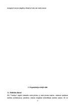 Referāts 'Organizācijas raksturojums', 6.